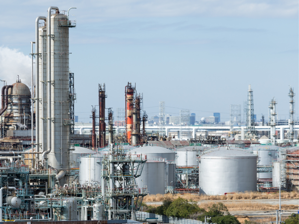 8.Petrochemicals