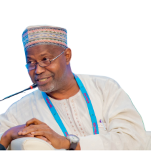 Prof. Abdullahi Yusufu Ribadu
