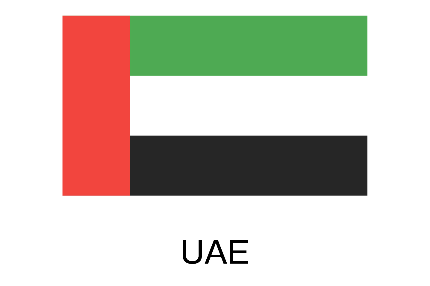 Flags For Website 07