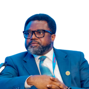Engr. Jennis Anyanwu