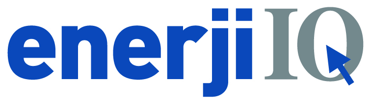 ENERJİ IQ LOGO