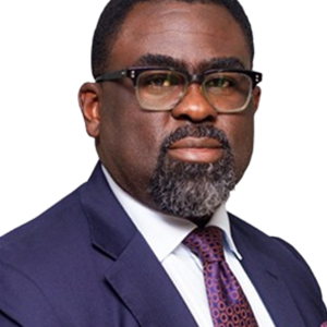 David Olayinka T. Oluwatimehin FNSChE