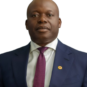 Wale Tinubu