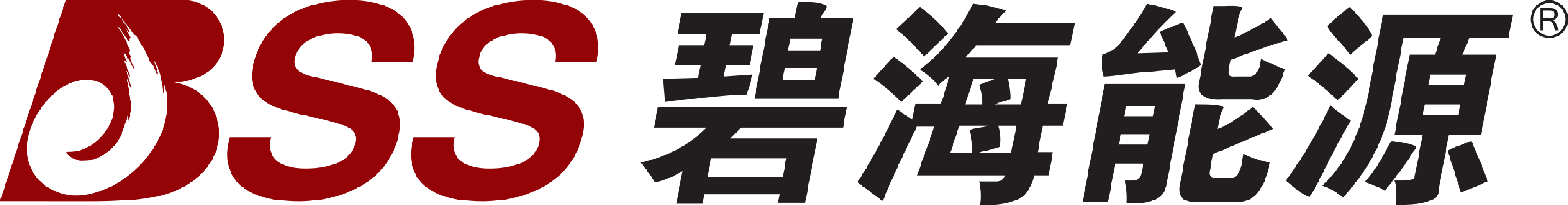 32 LOGO Beijing BSS Energy Equipment Co., Ltd