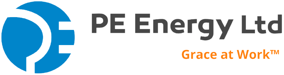 Pe Logo